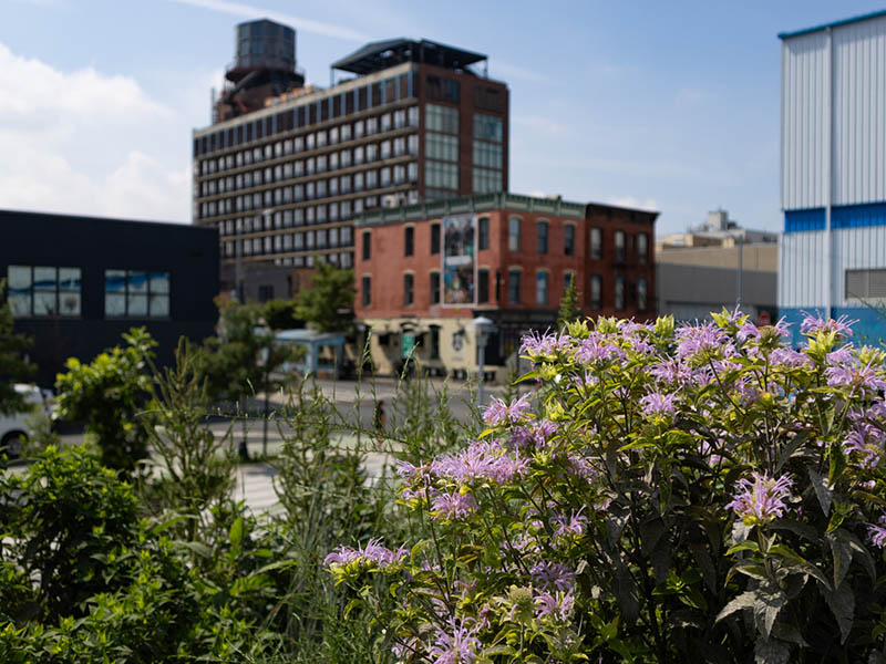 Brooklyn, NY Commercial Real Estate Market